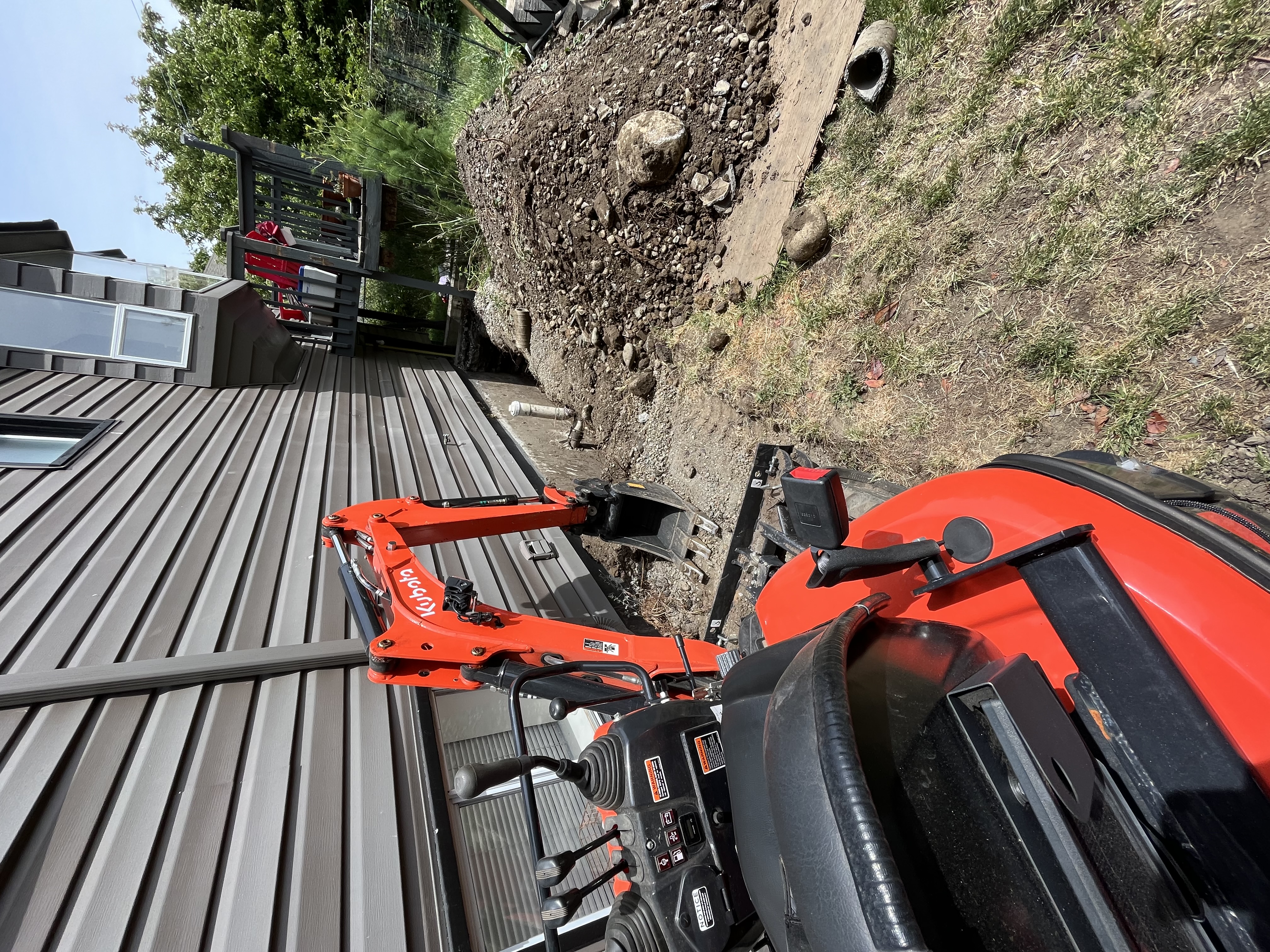 Cedar tree installation after shrub removal